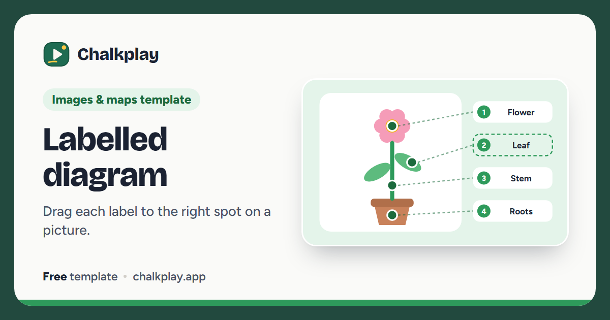 Labelled diagram maker: label, play or print · Chalkplay
